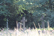 IMG-0111
