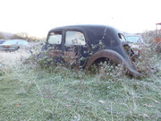 IMG-8536.jpg