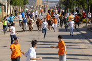 IMG-0463