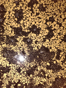 IMG 20251227 154423151