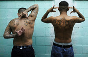 gang-1024x682.jpg