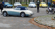 DSCN1137.jpg