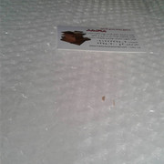 carton-mohammad (116)