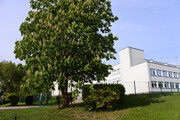 DSC-0913