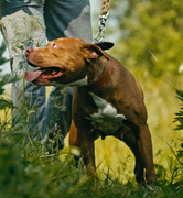 Screenshot_20230627_234959_Gallery