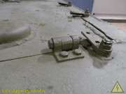 IMG-6428