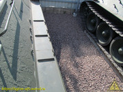IMG-3546