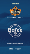 BAIKS-COFFEE
