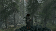 Screen-Shot135.png
