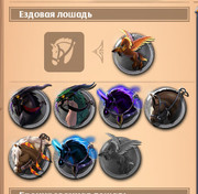 photo_2025-06-18_03-06-22