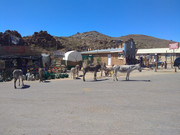 IMG-20180918-122516