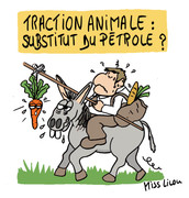 29-juin-2019-traction-animale-substitut-du-petrole.jpg