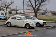 IMG-0539