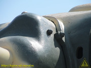 IMG-3481