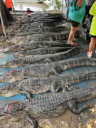 62CF92EF-8112-4200-814C-E6569642F15B