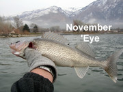 [Image: MY-MY-A-WALLEYE.jpg]