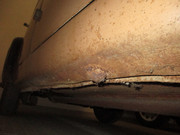 IMG-4695.jpg