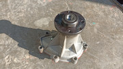 IMG-20250211-150959.jpg