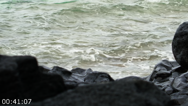 [Image: 2h4efn0e2jzk.png]