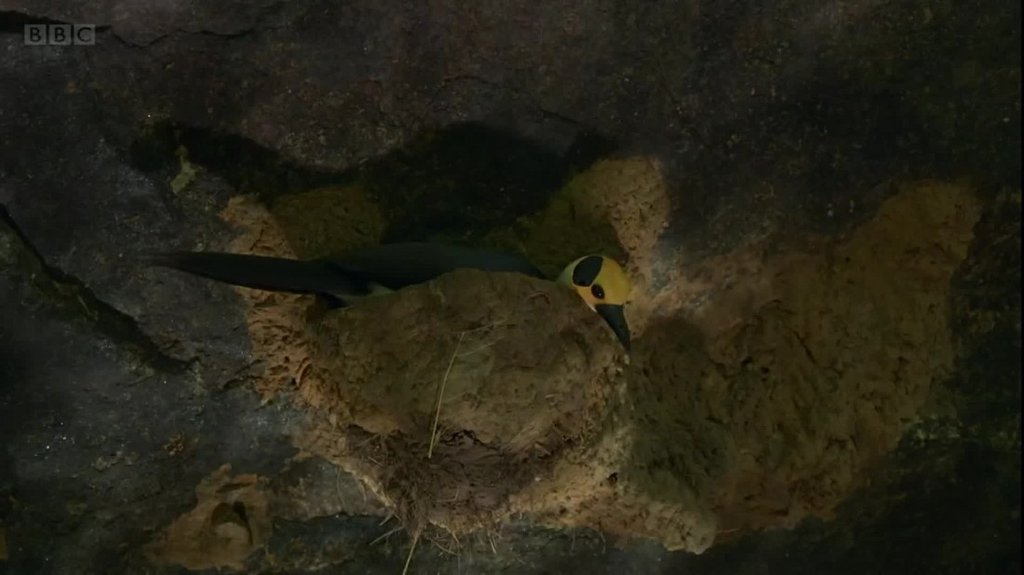 [Image: bx5z7r9j6fxv.jpg]