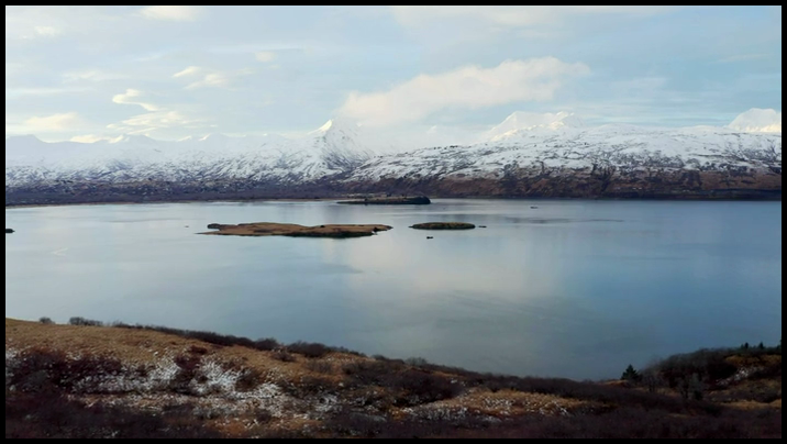 [Image: d8mmzrvf1t03.png]