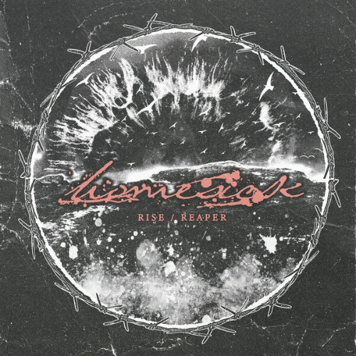 Homesick-Rise-Reaper-24BIT-WEB-FLAC-2026