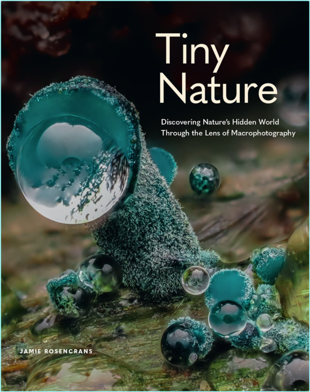 [Image: g7egatfku462.png]