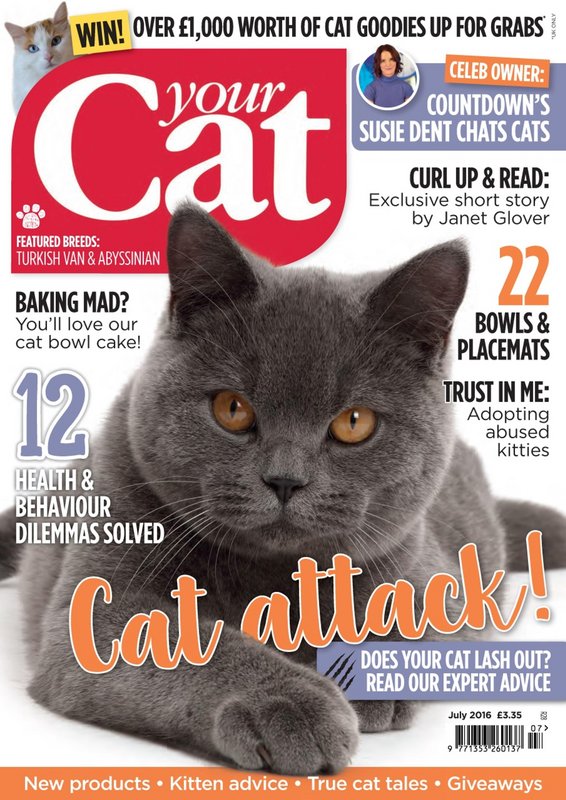 Your-Cat-July-2016.jpg