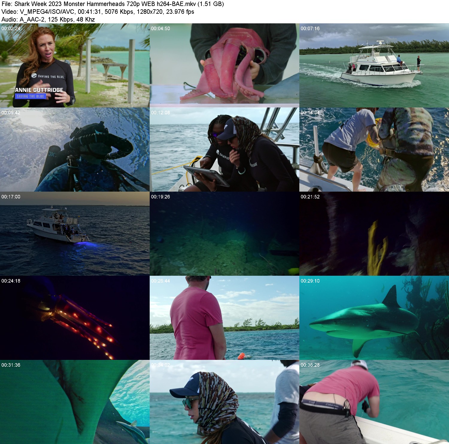 [Image: rbk22jetf30k.jpg]