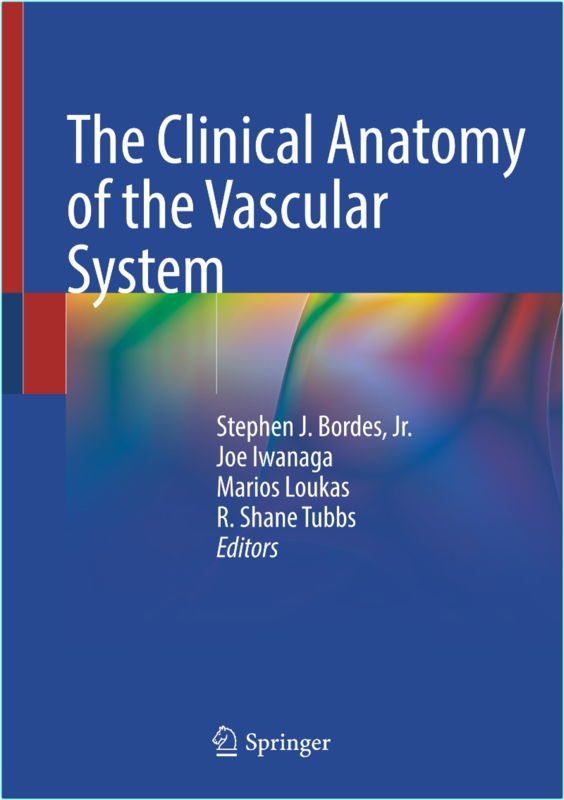 Bordes S The Clinical Anatomy Of The Vascular System 2025