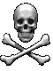 pirateskull