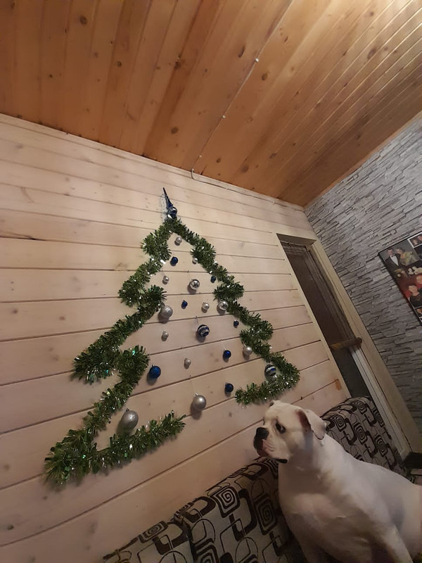 EC911271-7190-4257-B139-469FB74C584A