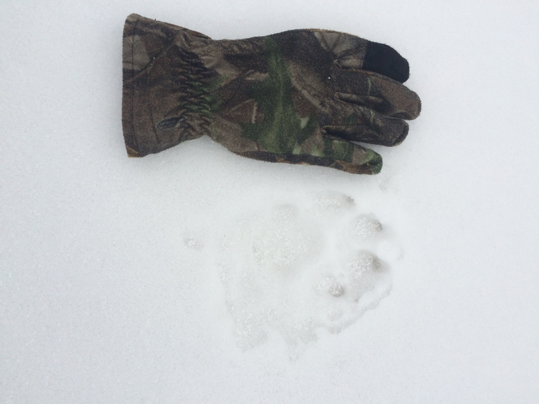 8C05E501-2449-4A58-A0E4-0005690B9087