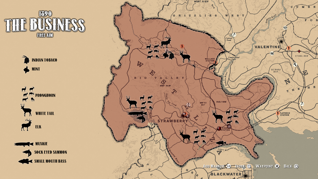 RDR2 Strawberry Map