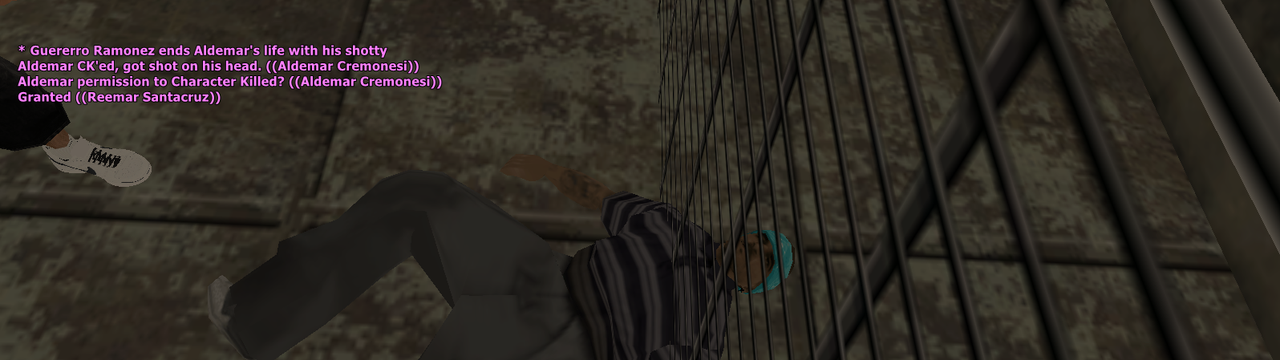 SS10.png