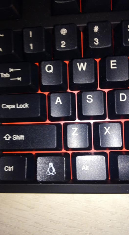 44702804_10217743474363931_5369687981701464064_n