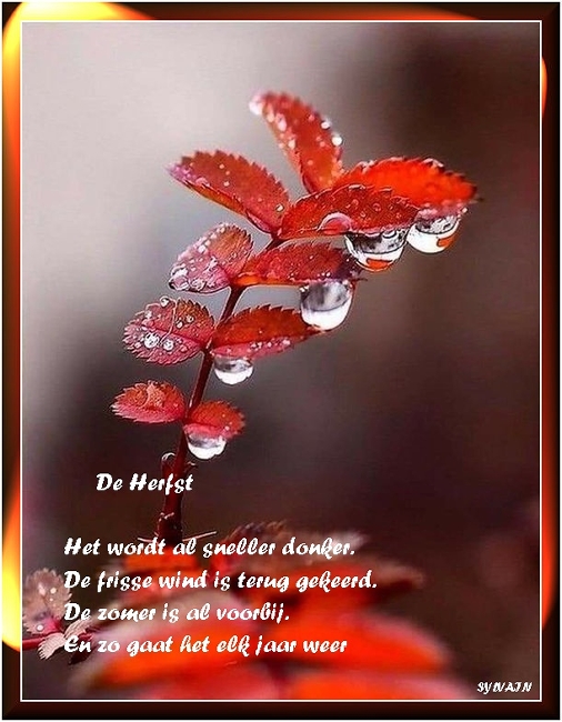 m-De-herfst-heel-vroeg