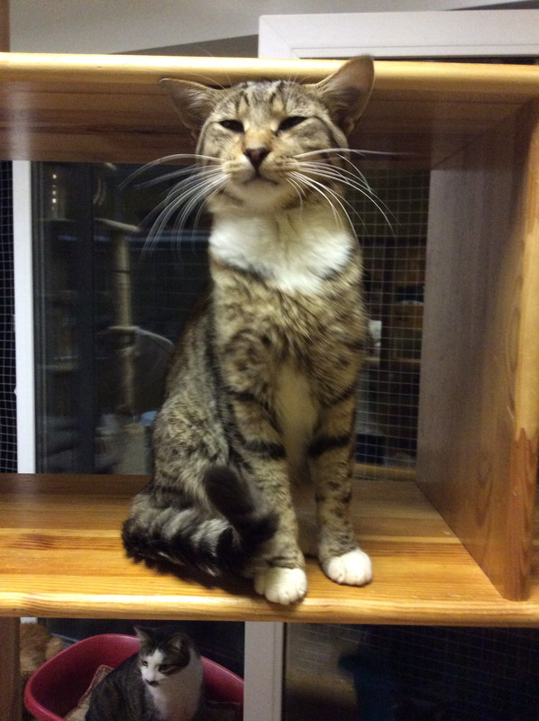 5311EB51-1C8D-4818-8ED8-062853ED7DD1