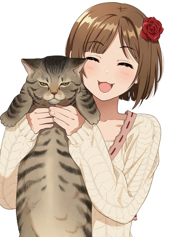 maekawa-miku-idolmaster-and-2-more-drawn-by-mattaku-mousuke-ddc2f9b69699a605fd06866f5e41f849