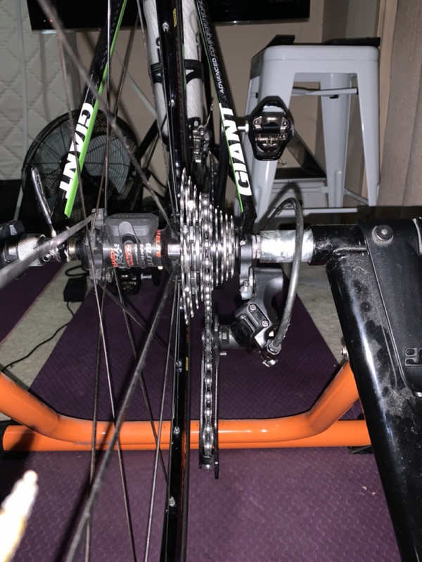 BD96F49F-9858-465D-9793-1CC564B22E31 Large