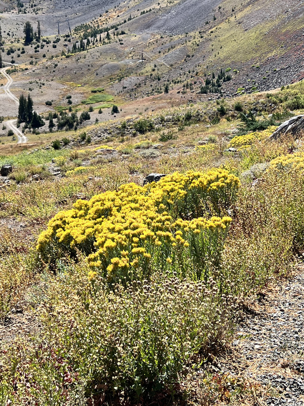 IMG_9598