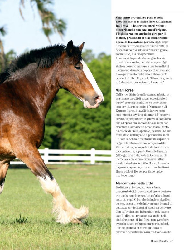 Il Mio Cav (Giu 2022) 10