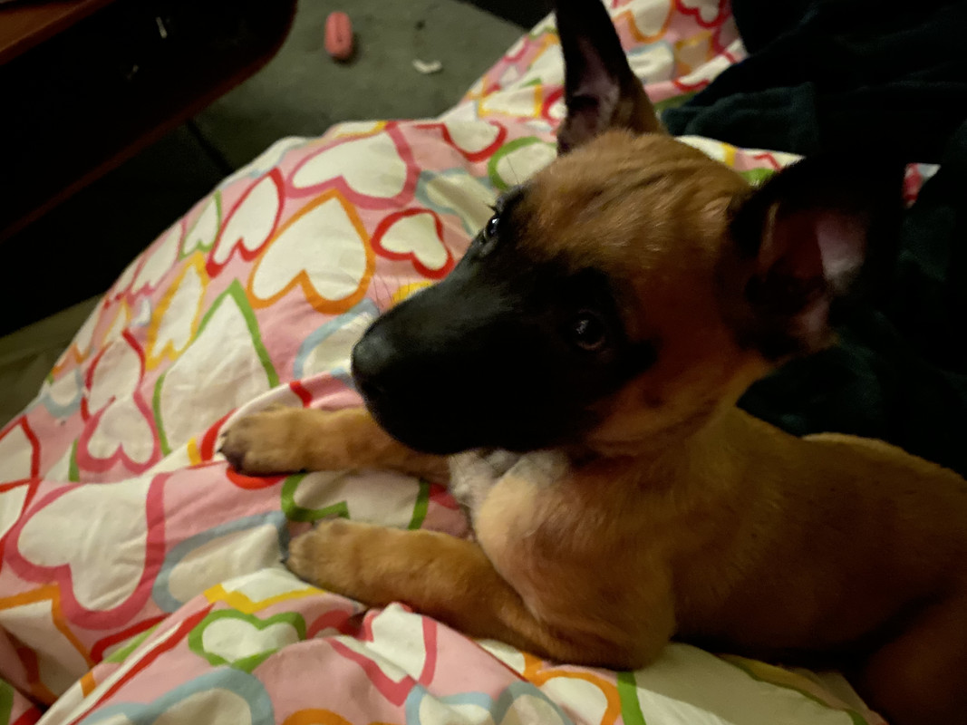 FA7E8831-48C3-4FC4-8948-D90E4AC6AD5A