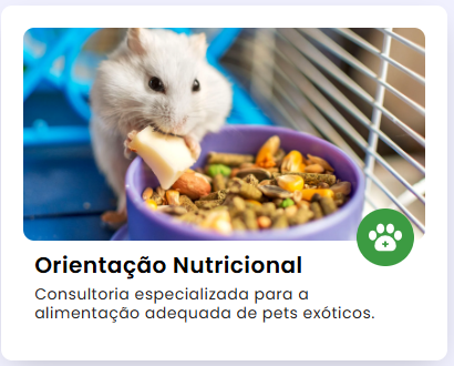 Imagem 4