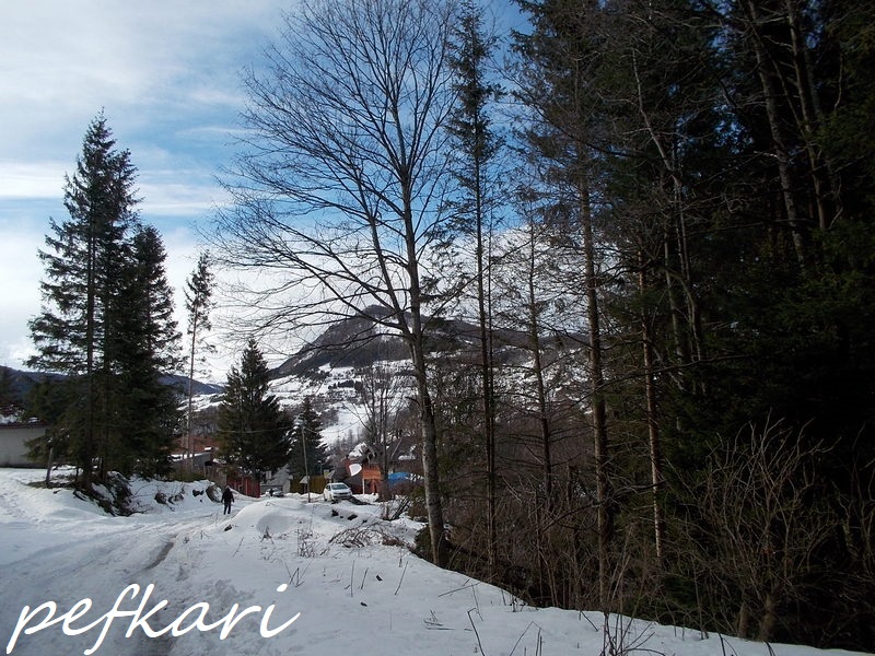 Slika