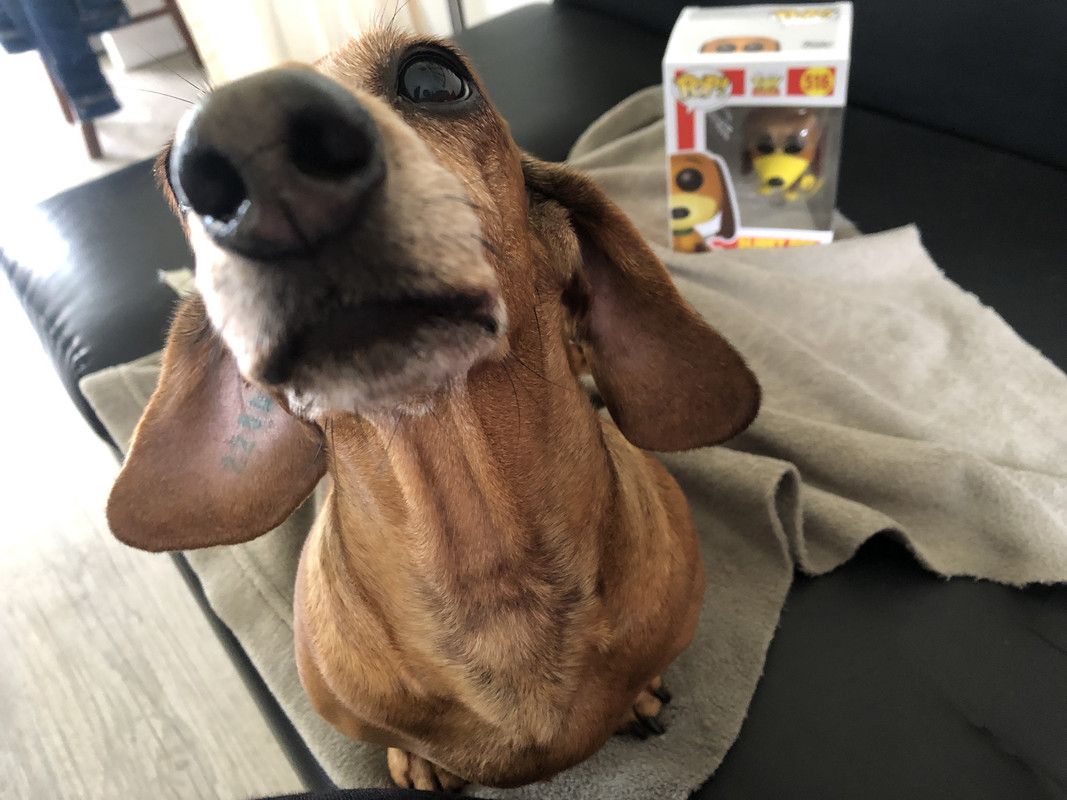 [Image: IMG-3261.jpg]