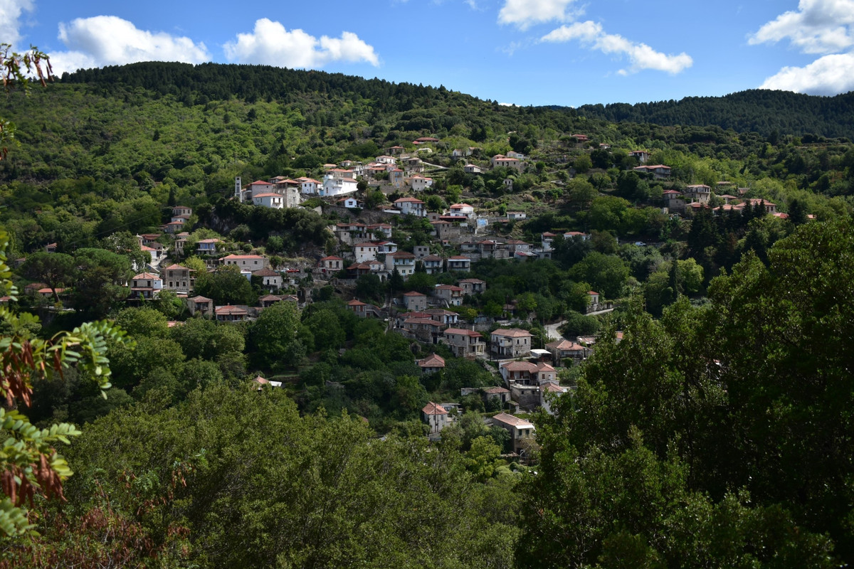 Βαμβακού (1)