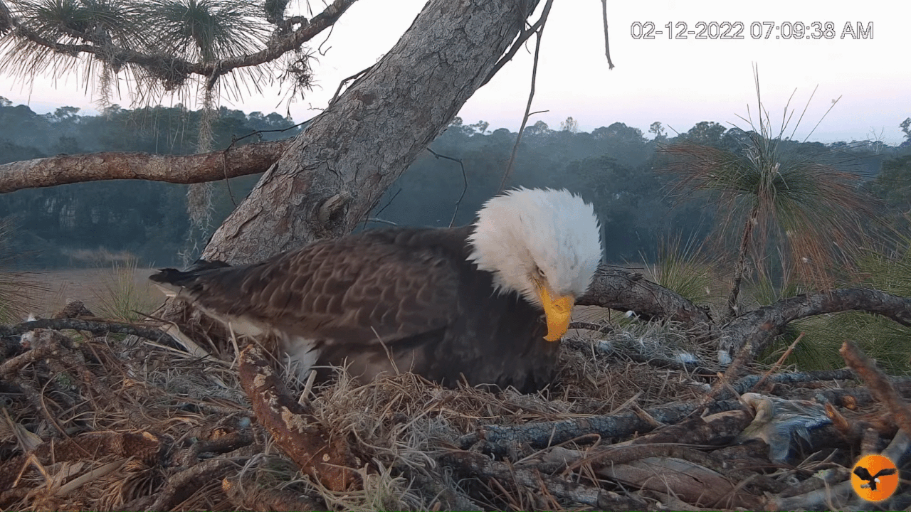 Webp.net-gifmaker (10)