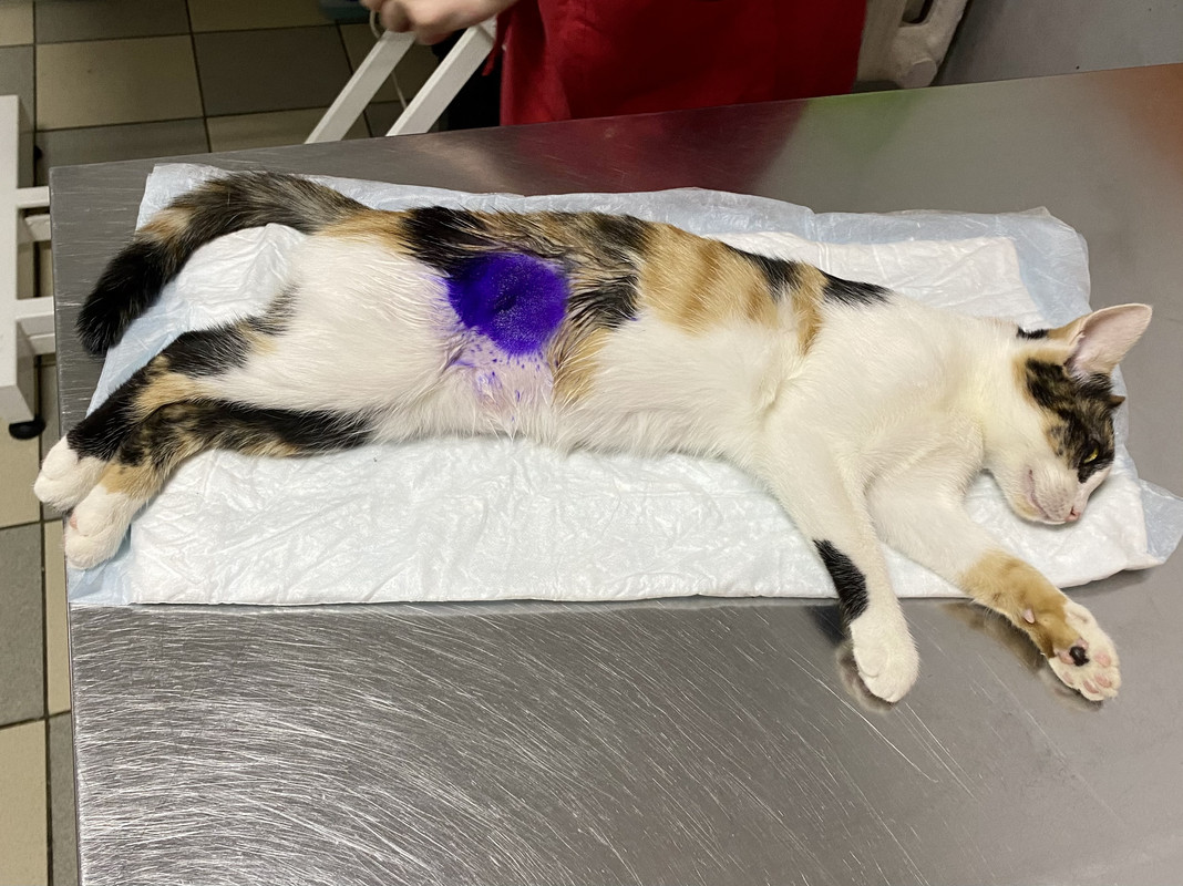 E27E2EEA-23C6-4B4D-B067-D920A21F1619