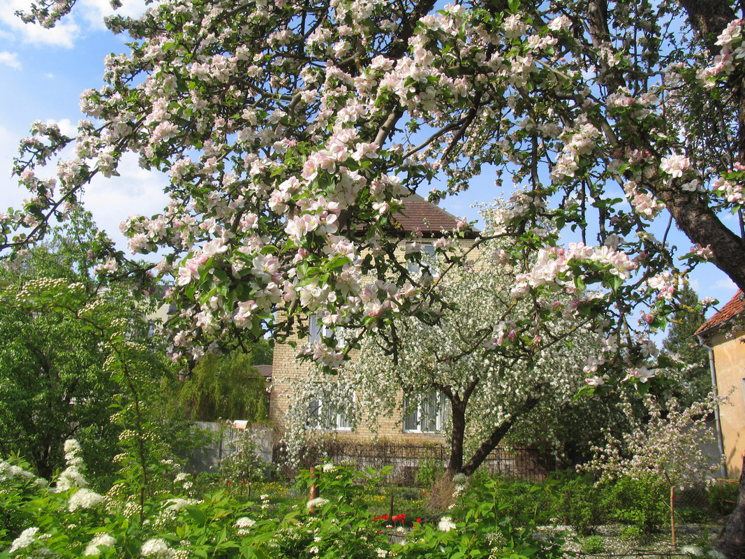 29 апреля 2024 019